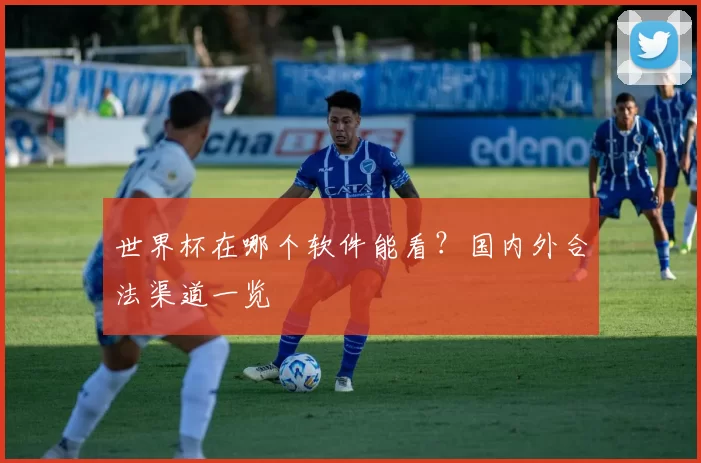 世界杯在哪个软件能看?国内外合法渠道一览