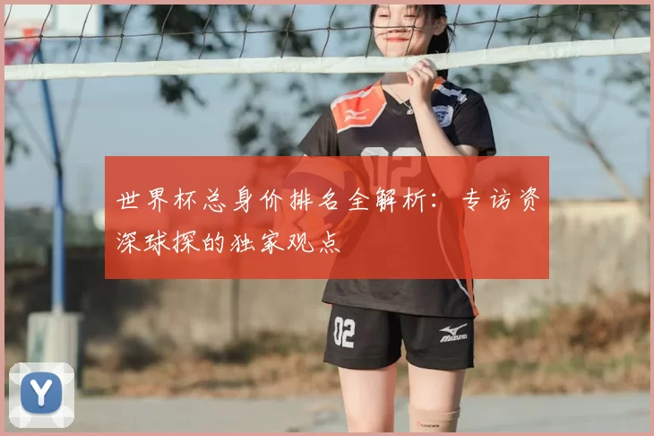 世界杯总身价排名全解析:专访资深球探的独家观点