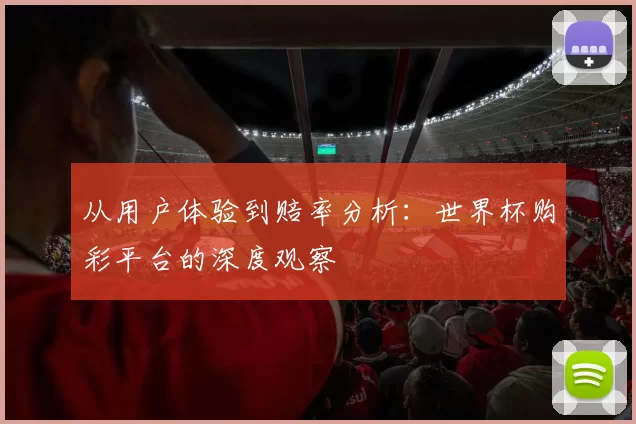 从用户体验到赔率分析:世界杯购彩平台的深度观察