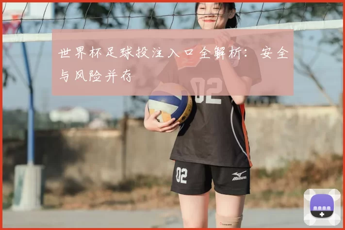世界杯足球投注入口全解析:安全与风险并存
