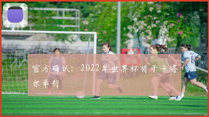 官方确认：2022年世界杯将于卡塔尔举行