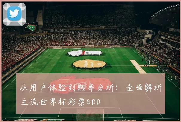 从用户体验到赔率分析:全面解析主流世界杯彩票app