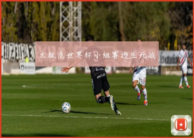太极虎世界杯小组赛迎生死战