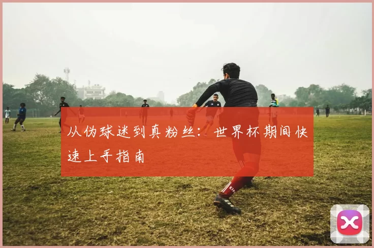 从伪球迷到真粉丝:世界杯期间快速上手指南