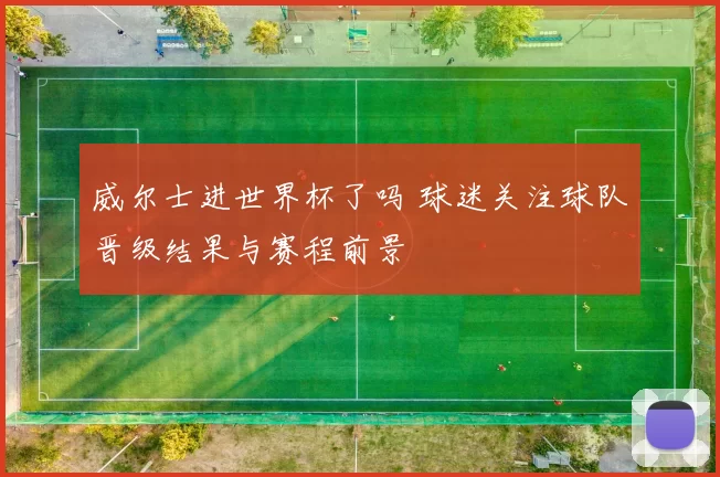 威尔士进世界杯了吗 球迷关注球队晋级结果与赛程前景