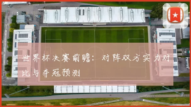 世界杯决赛前瞻:对阵双方实力对比与夺冠预测