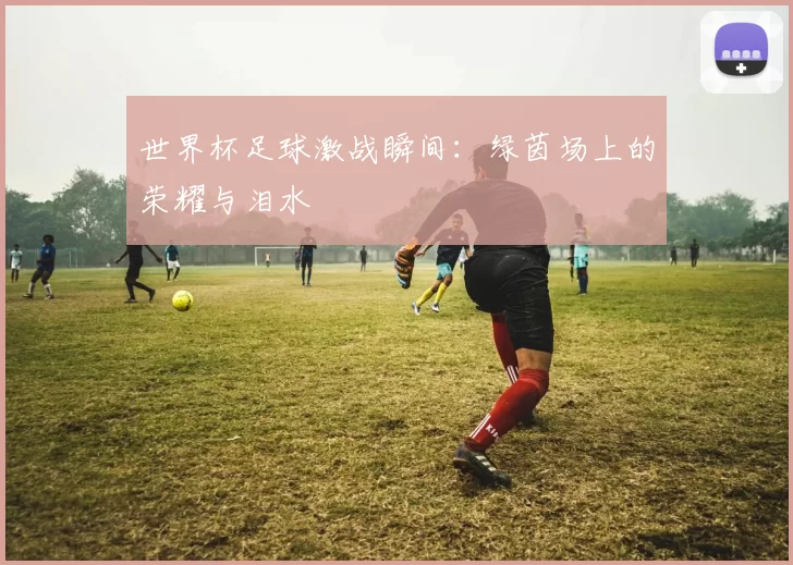世界杯足球激战瞬间:绿茵场上的荣耀与泪水