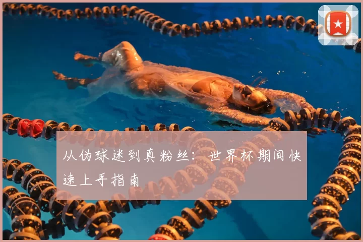 从伪球迷到真粉丝:世界杯期间快速上手指南
