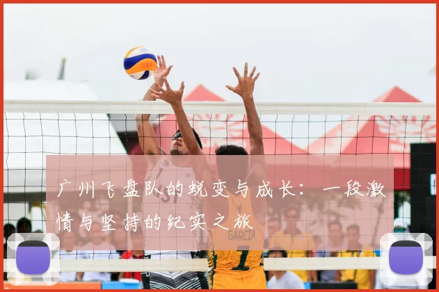 广州飞盘队的蜕变与成长：一段激情与坚持的纪实之旅