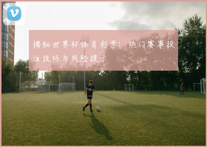 揭秘世界杯体育彩票:热门赛事投注技巧与风险提示