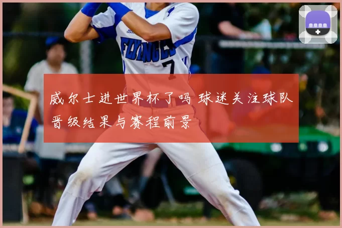 威尔士进世界杯了吗 球迷关注球队晋级结果与赛程前景