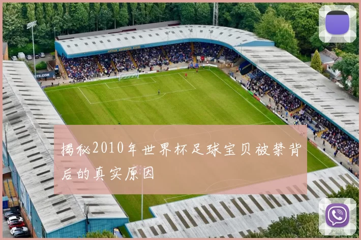 揭秘2010年世界杯足球宝贝被禁背后的真实原因