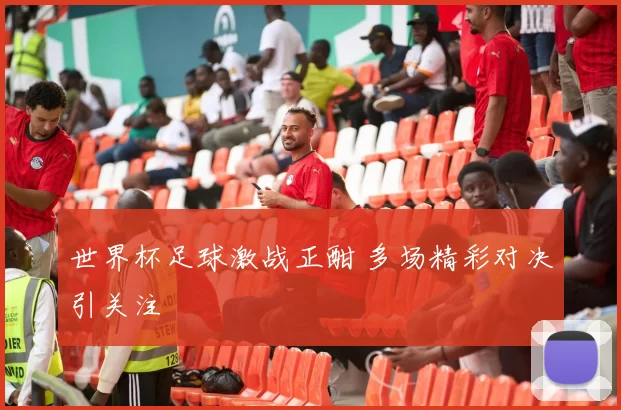 世界杯足球激战正酣 多场精彩对决引关注