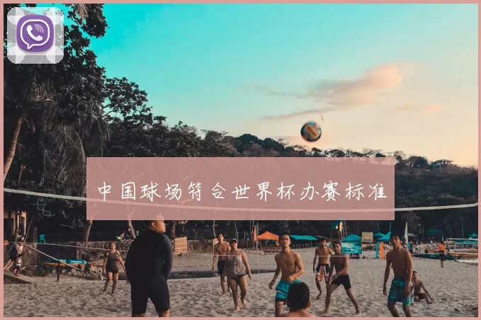 中国球场符合世界杯办赛标准