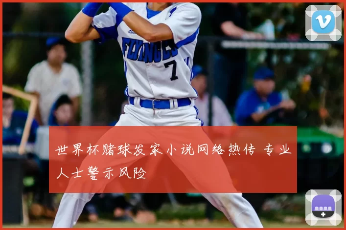 世界杯赌球发家小说网络热传 专业人士警示风险
