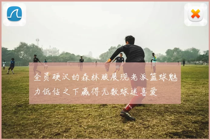 全员硬汉的森林狼展现老派篮球魅力低估之下赢得无数球迷喜爱