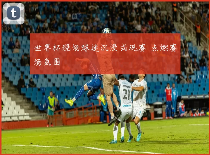 世界杯现场球迷沉浸式观赛 点燃赛场氛围