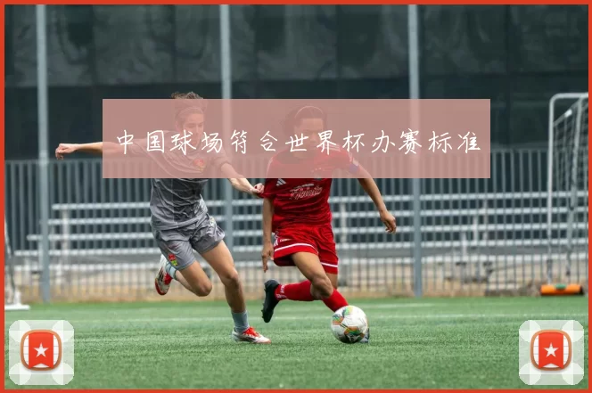 中国球场符合世界杯办赛标准