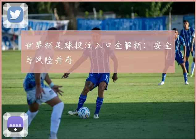 世界杯足球投注入口全解析:安全与风险并存
