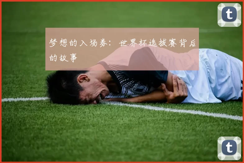 梦想的入场券:世界杯选拔赛背后的故事
