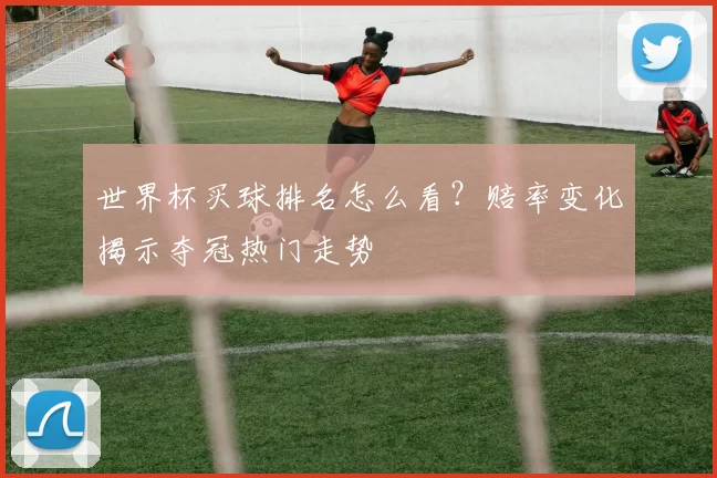 世界杯买球排名怎么看？赔率变化揭示夺冠热门走势