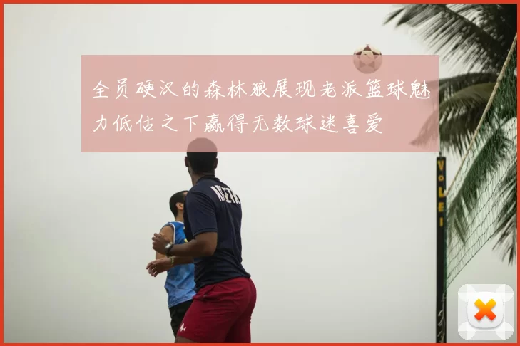 全员硬汉的森林狼展现老派篮球魅力低估之下赢得无数球迷喜爱